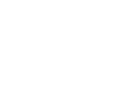 Charlotte Charm